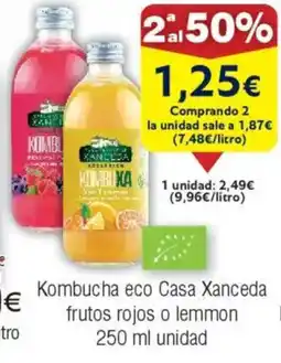 FROIZ Kombucha eco Casa Xanceda oferta