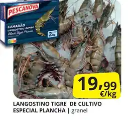Supermercados MAS PESCANOVA Langostino tigre de cultivo especial plancha oferta