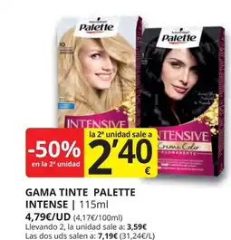 Supermercados MAS PALETTE Gama tinte intense oferta