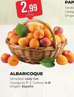 SPAR Albaricoque oferta