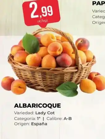 SPAR Albaricoque oferta