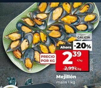 Dia Mejillones oferta