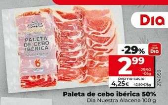 Dia Paleta de cerdo dia oferta