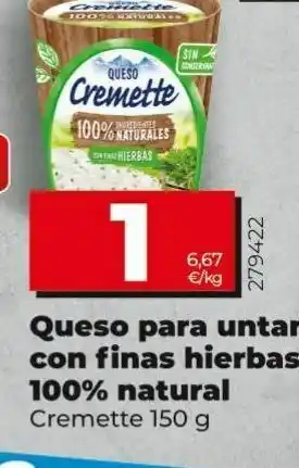 Dia Queso cremette oferta