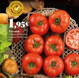 Gadis Tomate oferta
