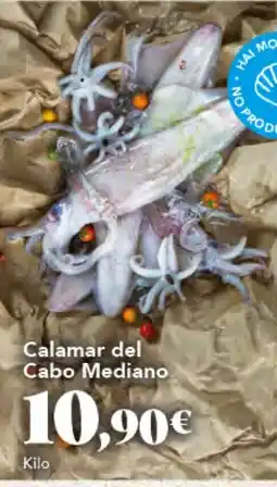 Gadis Calamar del Cabo Mediano oferta
