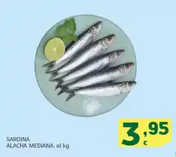 HiperDino Sardina alacha mediana oferta