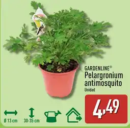 ALDI GARDENLINE Pelargronium antimosquito oferta