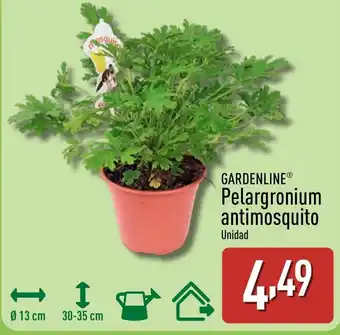 ALDI GARDENLINE Pelargronium antimosquito oferta
