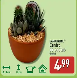 ALDI GARDENLINE Centro de cactus oferta