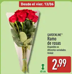 ALDI GARDENLINE Ramo de rosas oferta