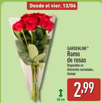 ALDI GARDENLINE Ramo de rosas oferta