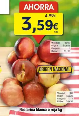 FROIZ Nectarina blanca o roja oferta