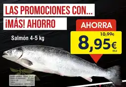 FROIZ Salmón oferta