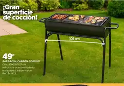 GiFi Barbacoa carbón gordon oferta