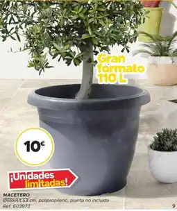 GiFi Macetero oferta