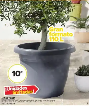 GiFi Macetero oferta