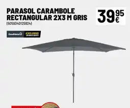 Brico Depôt Parasol carambole rectangular oferta