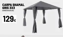 Brico Depôt Carpa shamal gris oferta