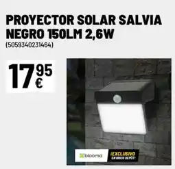 Brico Depôt Proyector solar salvia negro oferta