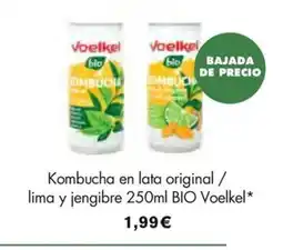 NaturaSí VOELKEL Kombucha en lata original lima y jengibre bio oferta