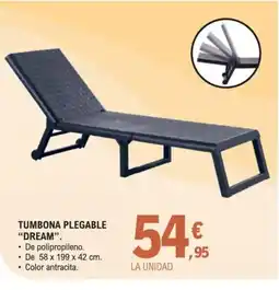 E.Leclerc Tumbona plegable dream. oferta