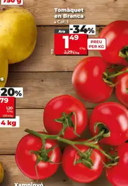 Dia Tomàquet en Branca oferta