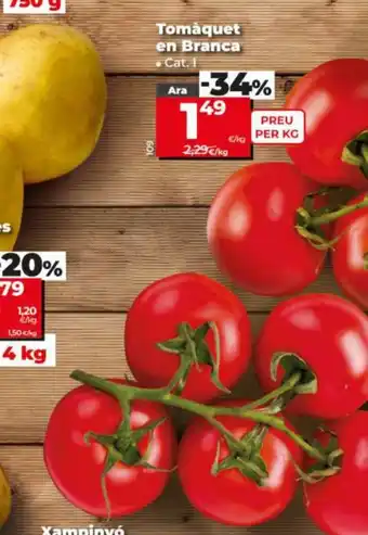 Dia Tomàquet en Branca oferta