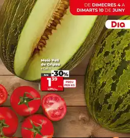 Dia Meló Pell de Gripau oferta