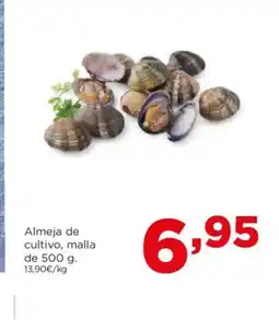 Alimerka Almeja de cultivo oferta
