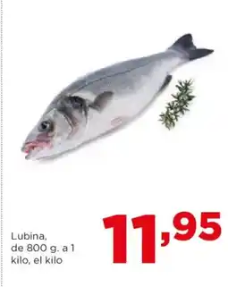 Alimerka Lubina oferta
