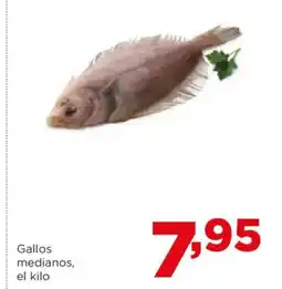 Alimerka Gallos medianos oferta