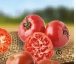 Alimerka Tomate asurcado oferta