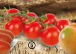 Alimerka Tomate cherry en rama oferta
