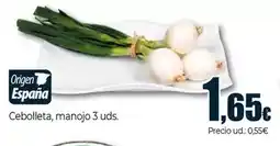Unide Market Cebolleta, manojo oferta
