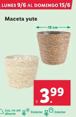 Lidl Maceta yute oferta