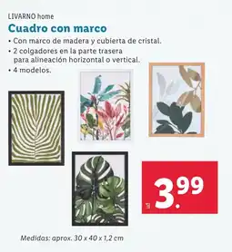 Lidl LIVARNO HOME Cuadro con marco oferta
