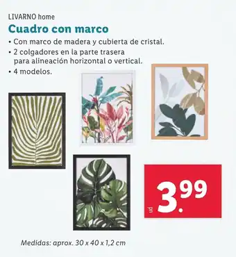 Lidl LIVARNO HOME Cuadro con marco oferta