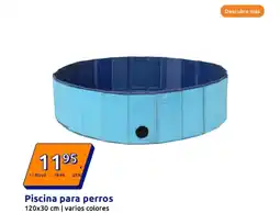 Action Piscina para perros oferta