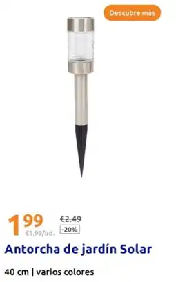 Action Antorcha de jardín Solar 40 cm oferta