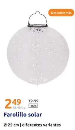 Action Farolillo solar Ø 25 cm oferta