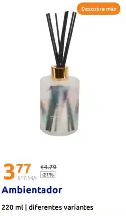 Action Ambientador oferta