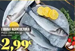 Gadis Lubina acuicultura oferta