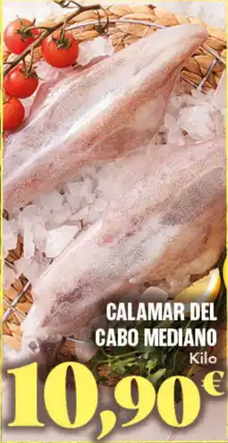 Gadis Calamar del cabo mediano oferta