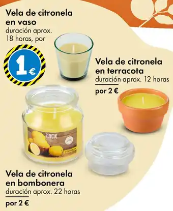 TEDi Vela de citronela en vaso oferta