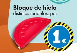 TEDi Bloque de hielo oferta