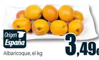 Unide Supermercados Albaricoque oferta
