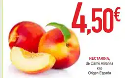 Masymas Nectarina oferta