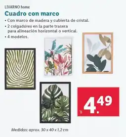 Lidl Livarno home - cuadro con marco oferta