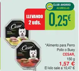 Masymas CESAR Alimento para Perro Pollo o Buey oferta
